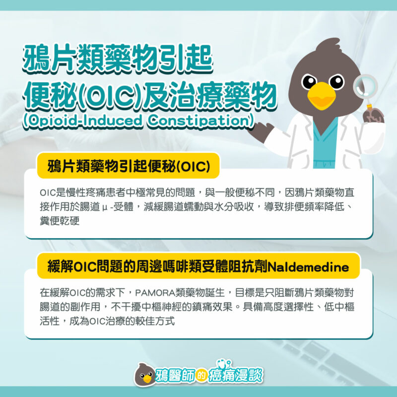 鴉片類藥物 Opioid 便祕